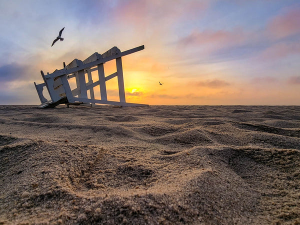 Lifeguard Stand Seagull Sunrise I