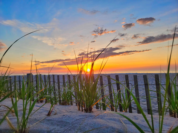 Sun Between The Dune Grass Sunrise I